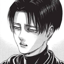 levi